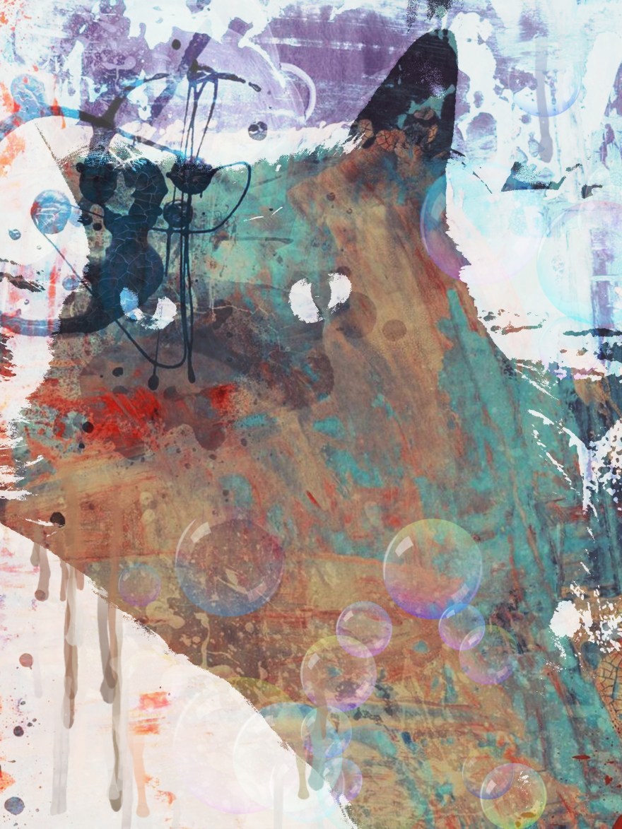 2016-03-26 11.29.57-1.jpg